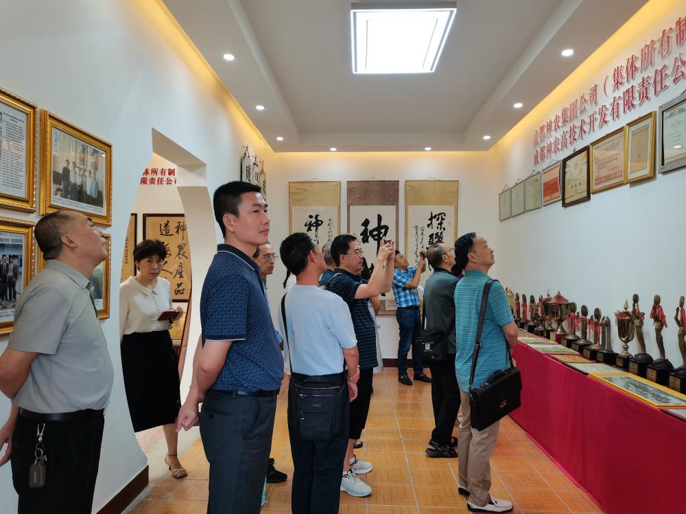 from clipboard from clipboard